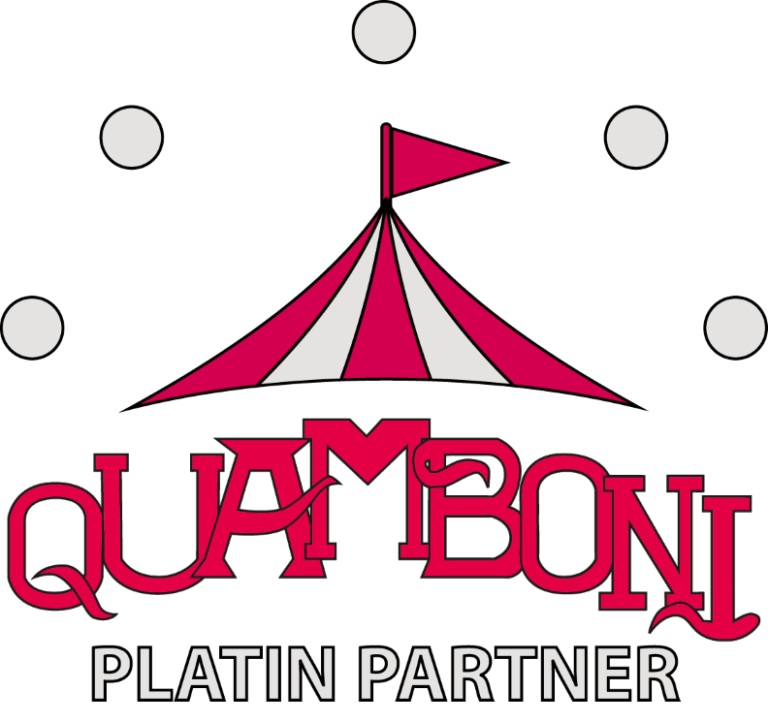 241112 q partnerlogo platin klein