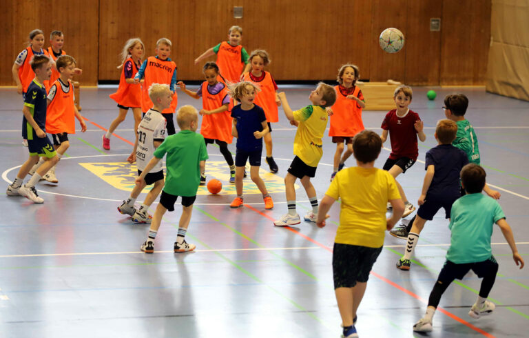 img 7088 vfl handball
